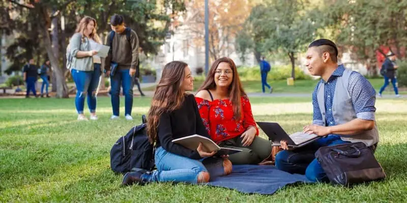 Disiplin cezası yoktur belgesi nedir?