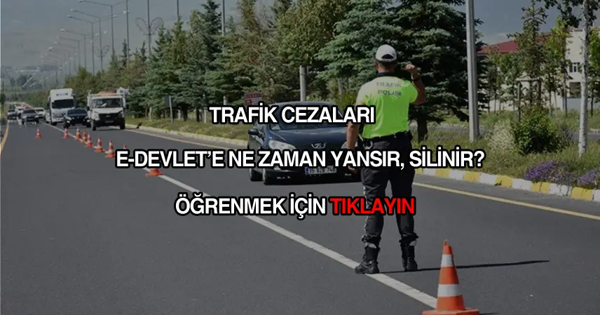 Trafik cezası E-devlete ne zaman yansır?
